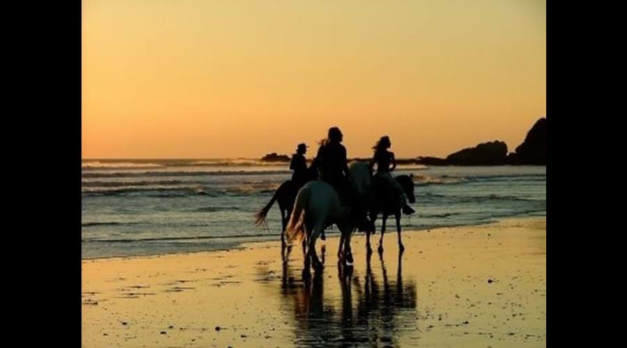Horse back riding on the beach